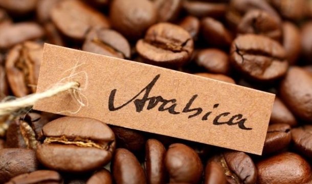 멸종 위기 놓인 아라비카는 어떤 커피일까?