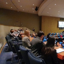 Blue Tree Foundation calls for anti-cyberbullying measures at UN side event