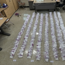 3 Koreans busted for for smuggling W167b worth of meth