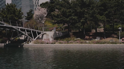 [One with Nature] Enjoy spring in Songdo's parks