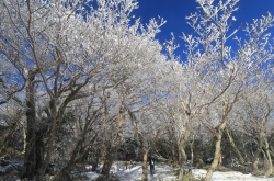 Winter wonderland in Hallasan