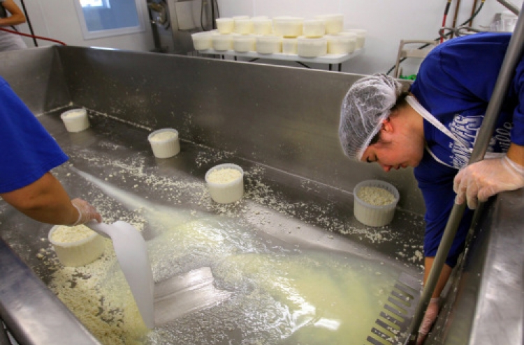 Dairy farmers switch focus to artisanal cheese