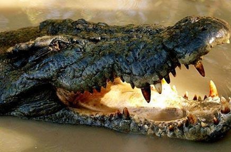 Phone keeps ringing in Ukrainian crocodile's tummy