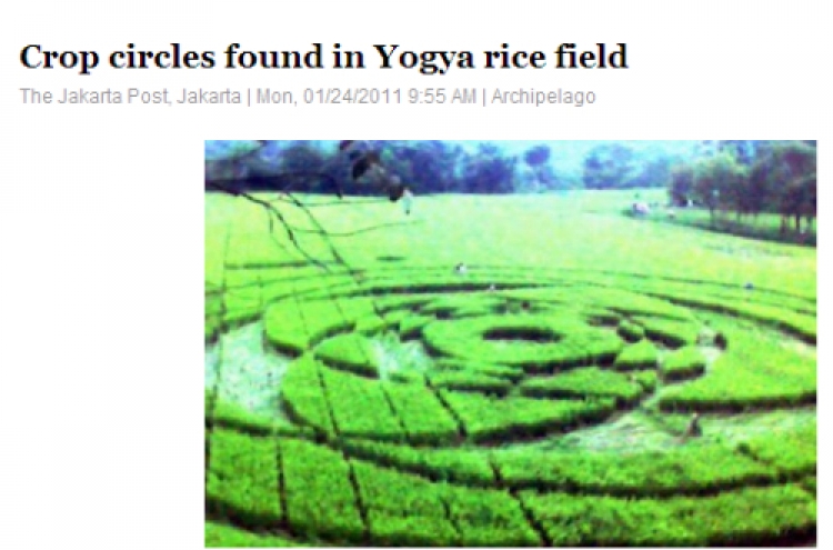 Crop circles found in Yogya rice field