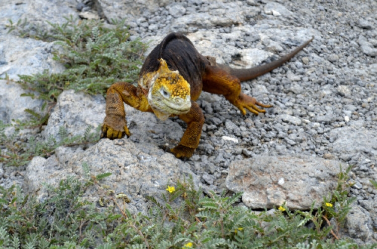 Following in Darwin’s footsteps in Galapagos visit