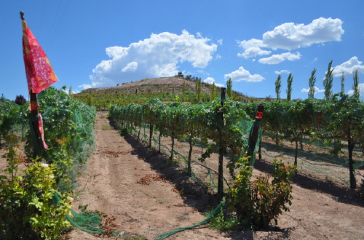 The next Napa? Arizona’s Verde Valley angles to become a mecca for wine aficionados