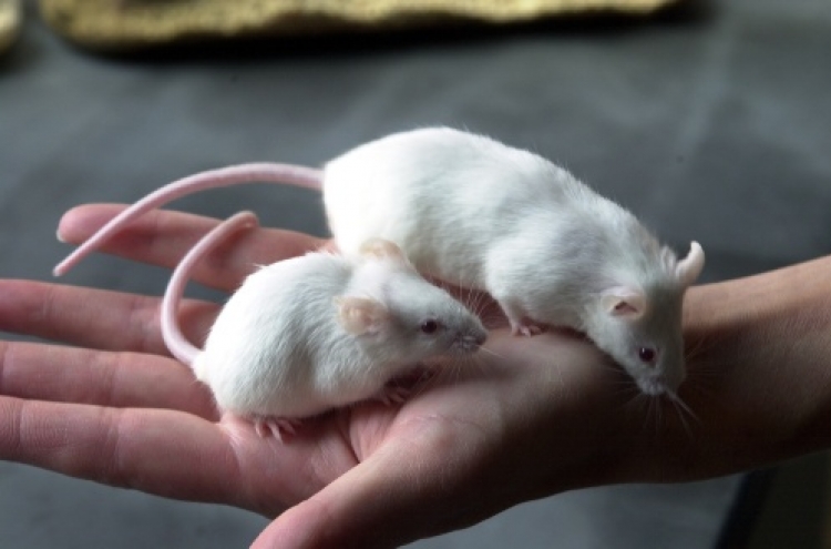 Removing ‘deadbeat’ cells in mice blunts physical decline from aging