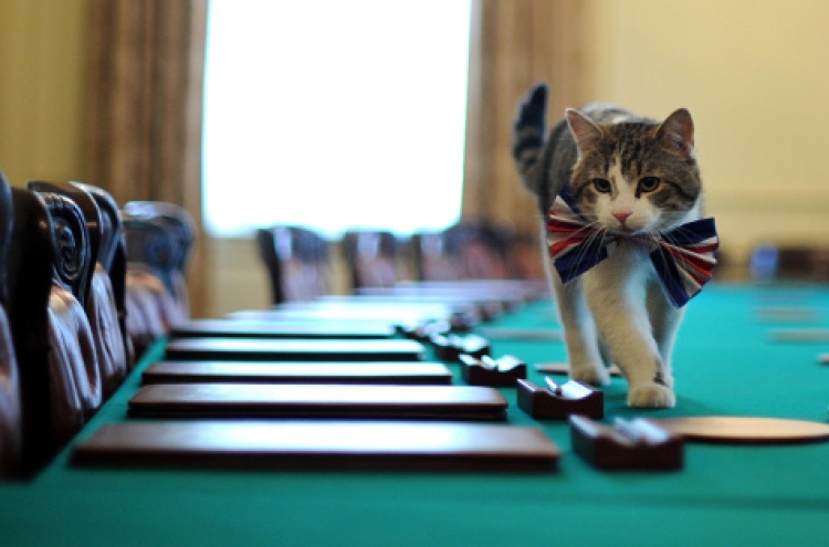 Downing Street defends catnapping 'mouser-in-chief'