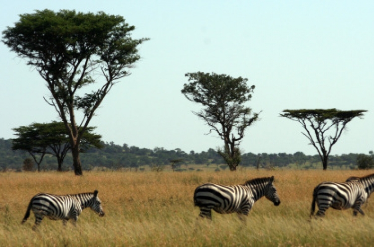 Tanzania on safari: a ‘unique, amazing place’