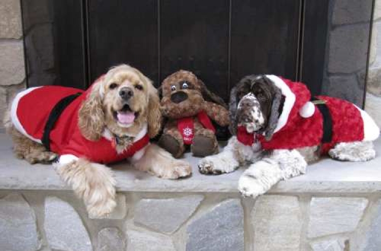 For pet-owners, holiday plans revolve around pets