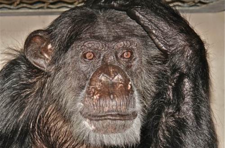 Chimp from 1930s Tarzan films dead at 80