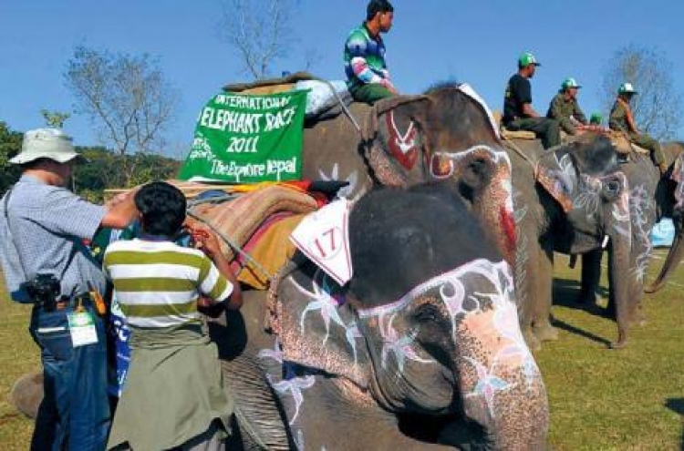 Elephants race, play soccer in Nepal festival