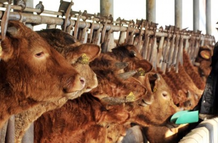 Farms hit hard by falling beef prices