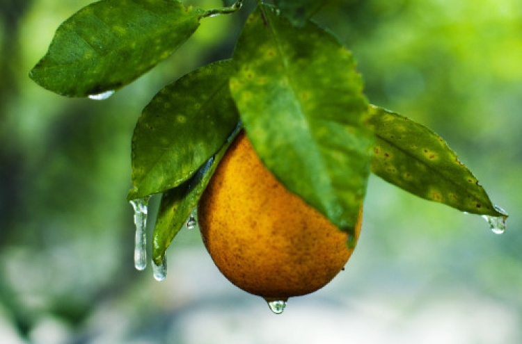 US steps up testing for fungicide in orange juice