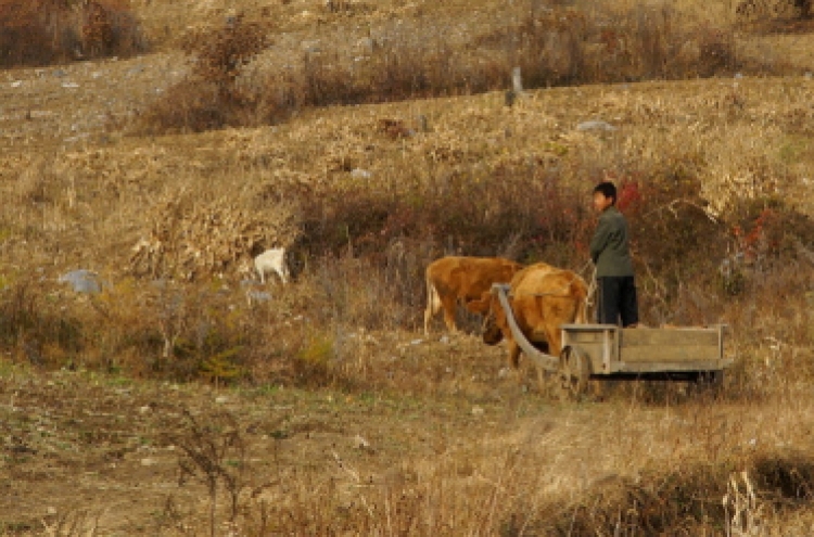 Two Koreas' mountain photos