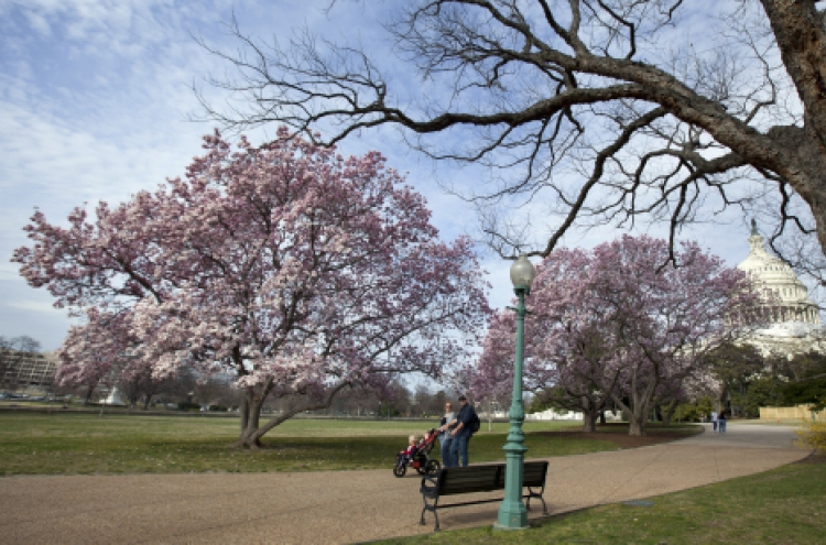 Top Japan musicians play US for cherry blossoms