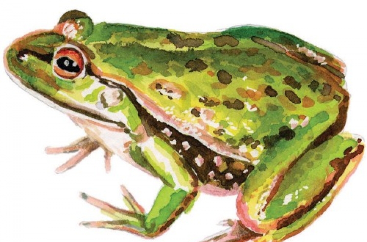 New frog species discovered in New York City
