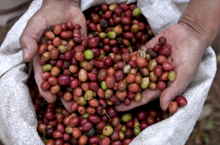 Weight loss in a pill contains coffee bean