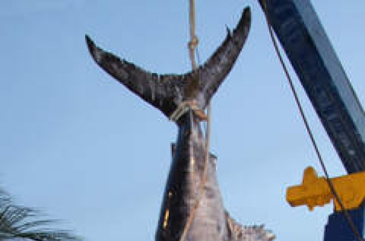 Florida crew lands 683-pound swordfish