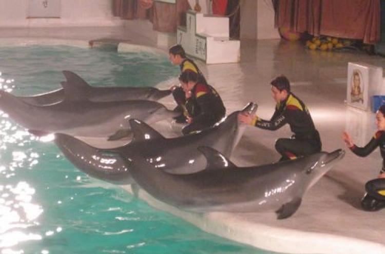 Ruling puts dolphin show limbo