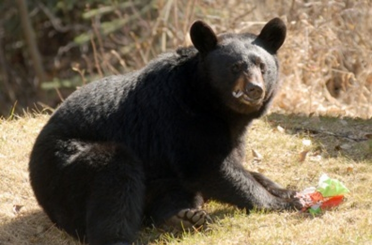 Convict’s body partly eaten by black bear