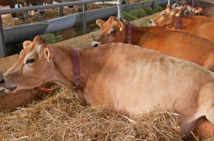 Russian girl forced by parents to live with cows