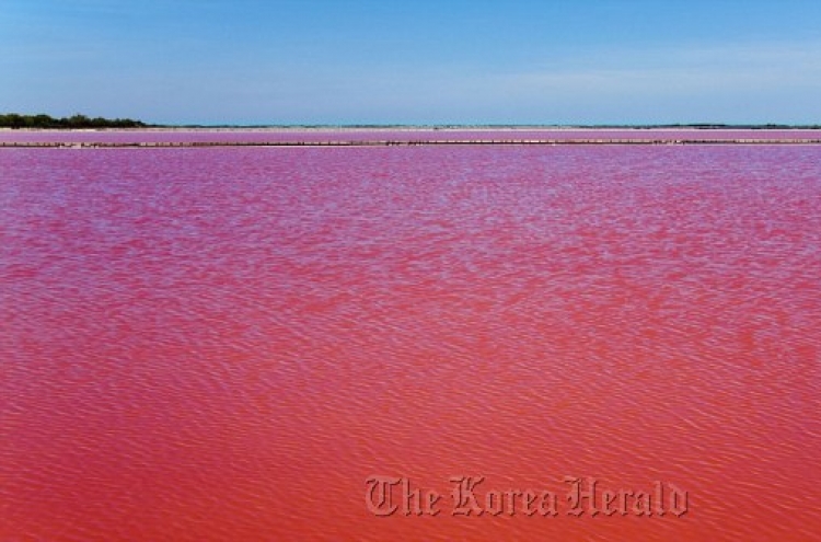 Natural phenomenon turns French lake red