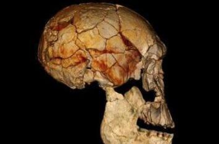 Fossil find shows other human cousins