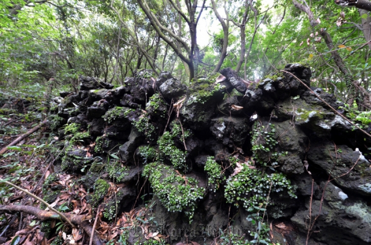 Jeju Gotjawal park offers eco-diversity