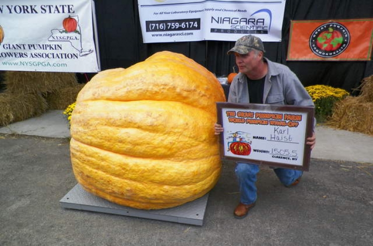 1,505.5-pound pumpkin wins weigh-off