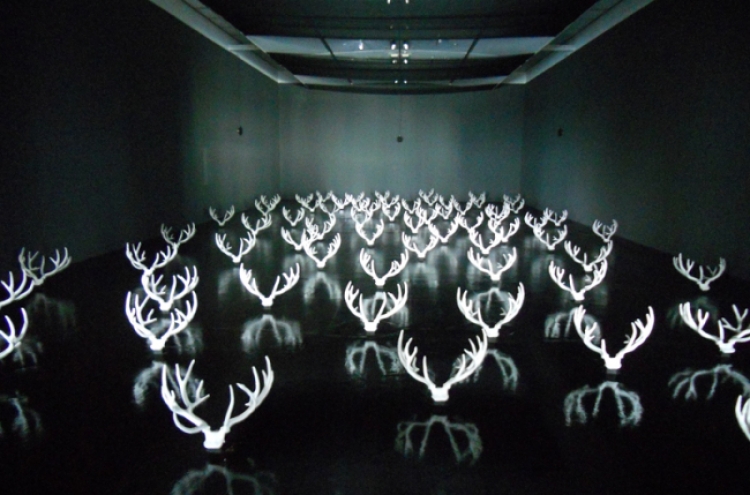 Busan Biennale presents fresh, provocative contemporary art