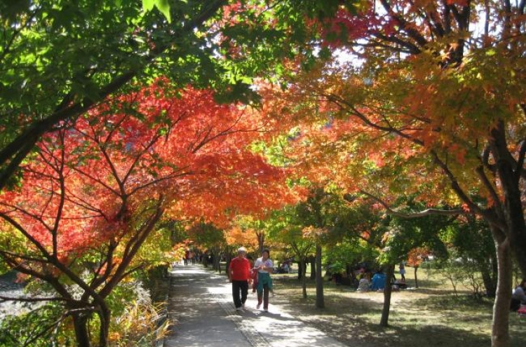 Naejangsan ― one of Korea’s best-loved mountains in fall