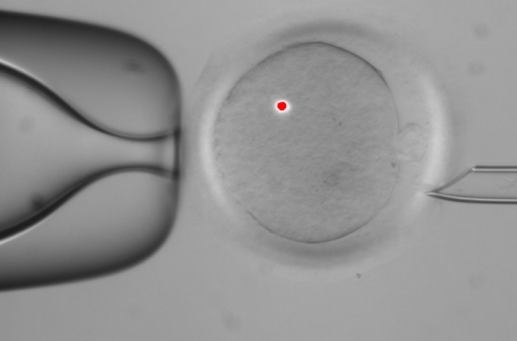 U.S. scientists make embryos with ...2 women, 1 man