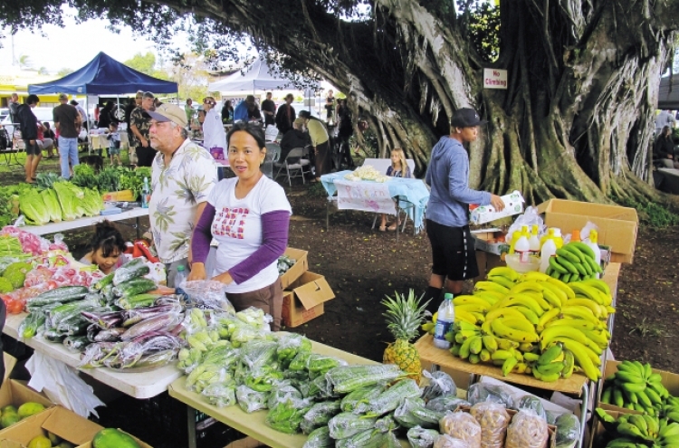 Big Island’s lush, isolated North Kohala nurtures music and arts