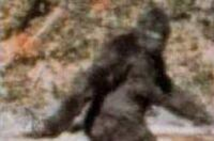 Researchers claim sequenced 'Bigfoot' DNA