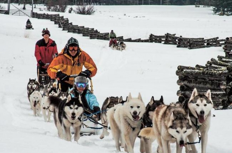 ‘Bearding winter’ at British Columbia’s Siwash Lake Ranch