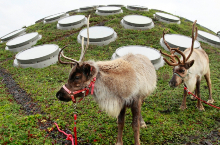 Revealed: The mystery of Rudolph‘s nose