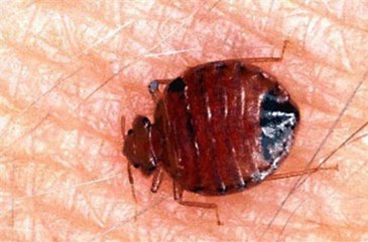 Bedbugs no reason to skip library books