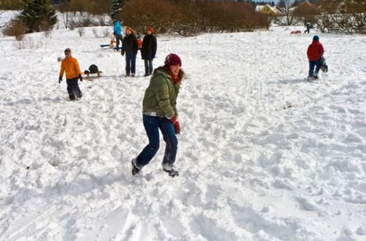 Seattle breaks snowball fight record