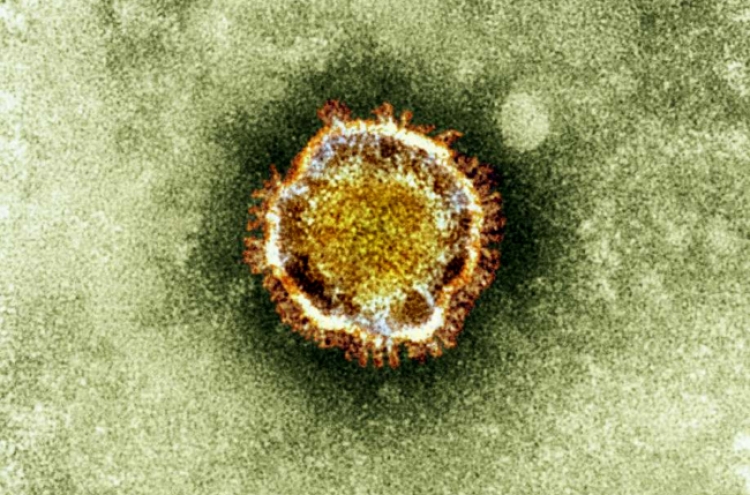 New virus may have spread between people