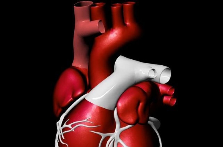 Researchers looking to create human heart