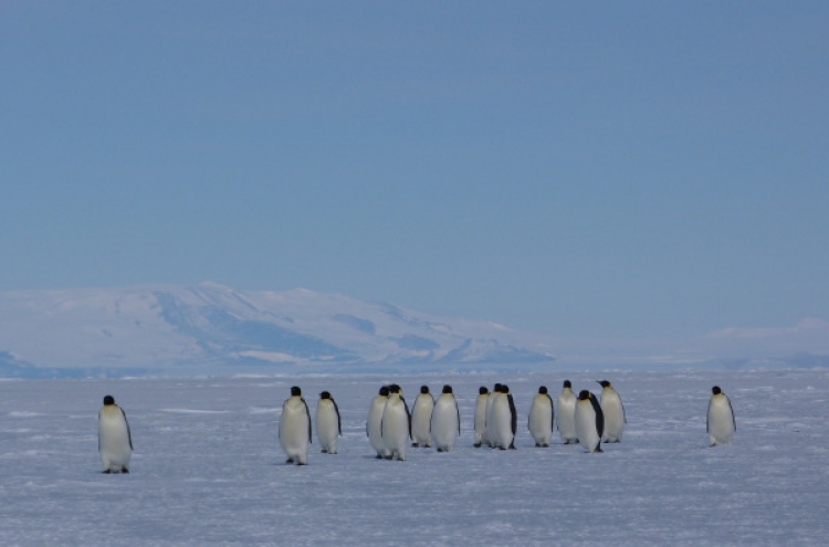 Antarctic summer ice melt accelerating: study