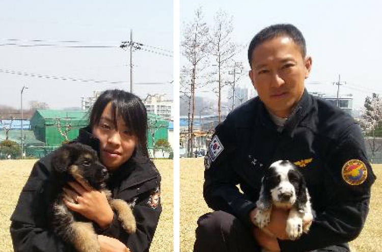 Cloned dogs given to 119 services