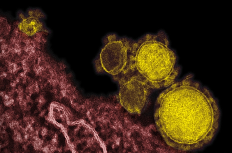 New MERS virus spreads easily, deadlier than SARS