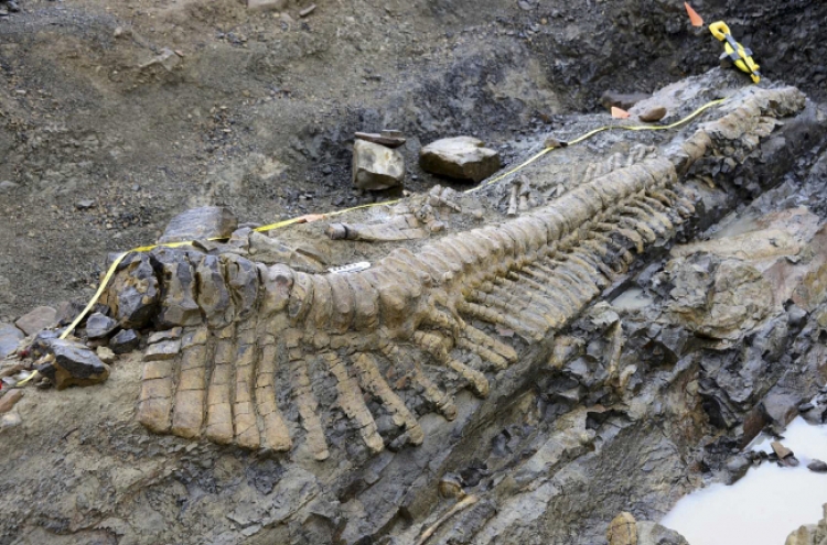 Huge dinosaur tail discovered