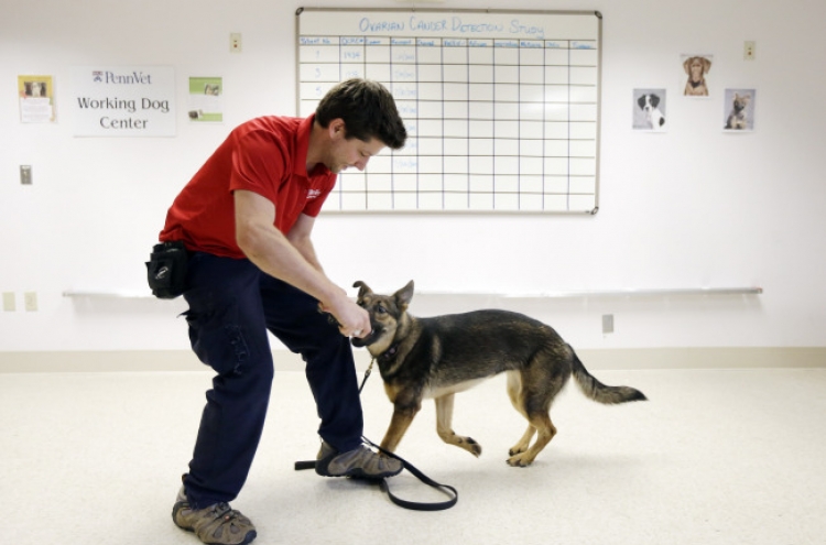 Dogs help sniff out cancer