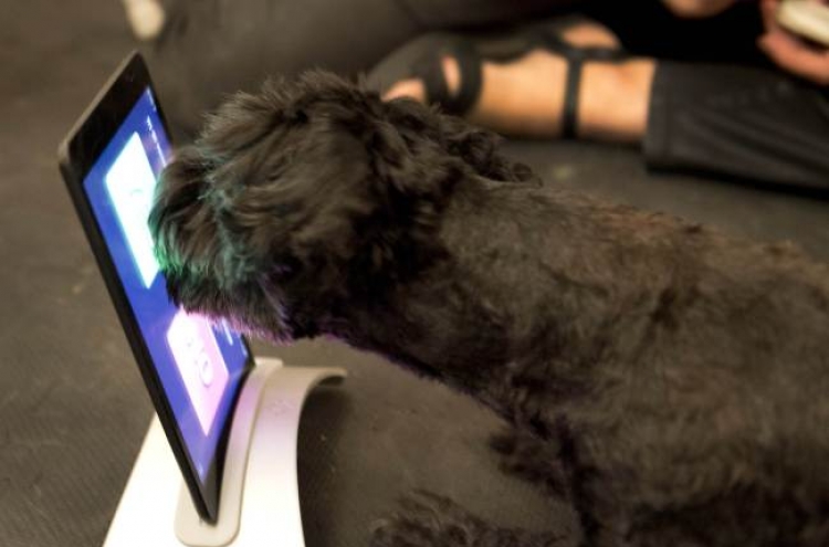 Wet noses to the touchscreen, iPads go to the dogs