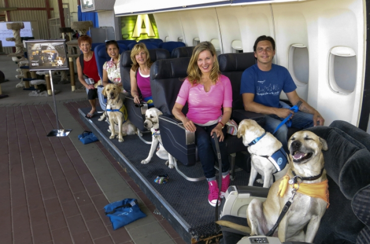 Hollywood studio teaches dogs how to fly