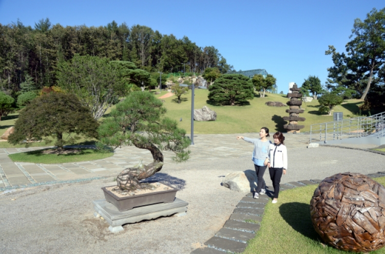 Paju getaway: a calming bonsai garden