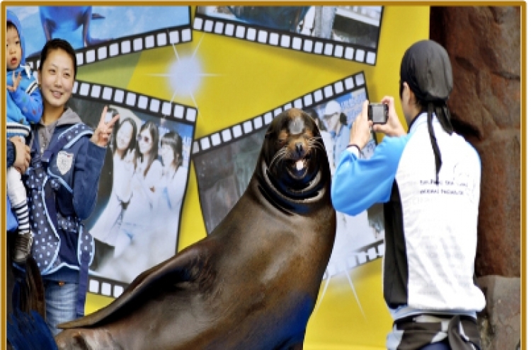 Seoul Zoo retires sea lion presentation